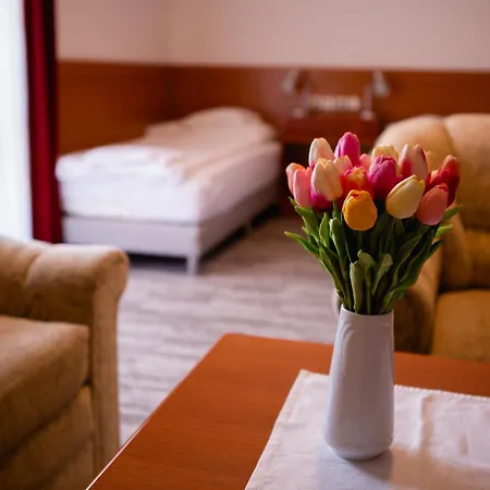 Ovit 3* كيستاي